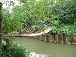 DSC00277