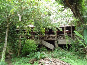 DSC00286