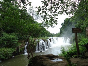 DSC00291