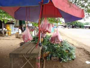 DSC00300
