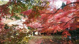 kyoto2
