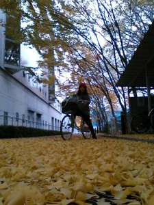 kyoto3