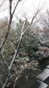 snow