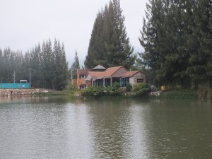 DSCF9171