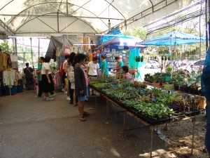 DSC00027