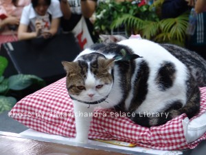 DSC00130