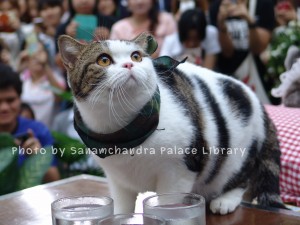DSC00131
