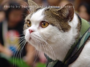 DSC00139