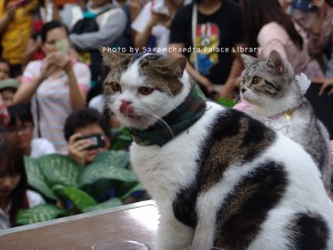 DSC00164