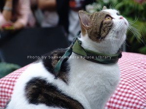 DSC00167