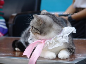 DSC00177