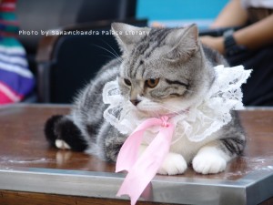 DSC00178