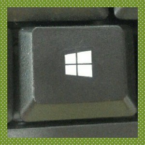 e86ec6fd-870d-4a6f-8504-2842a465a0df