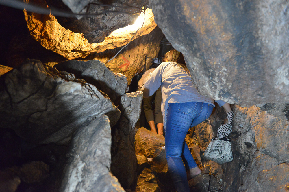 DSC_5554