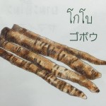 11873915_1075673799127230_185899151_n