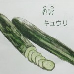 11880282_1075673679127242_840625735_n