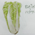 11880282_1075673695793907_304437342_n