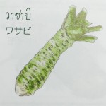 11880457_1075673789127231_959716666_n