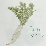 11880776_1075673659127244_166436227_n