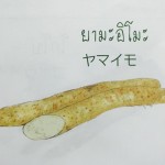 11880866_1075673779127232_580643686_n