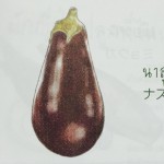 11897096_1075673772460566_1325026106_n