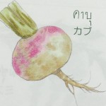 11897173_1075673655793911_1142190627_n