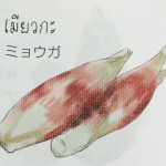 11903358_1075673782460565_955452677_n