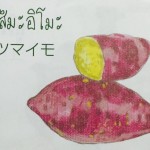 11909839_1075673769127233_1207158673_n