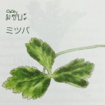 11910765_1075673682460575_80939379_n