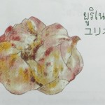 11910829_1075673792460564_948948566_n