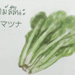 11911786_1075673675793909_110209963_n