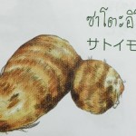 11911796_1075673775793899_1611400146_n