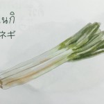 11911911_1075673692460574_642299469_n