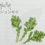 11913596_1075673762460567_347375481_n