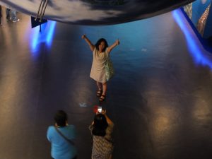 13584677_911985578929879_390330140613318519_o