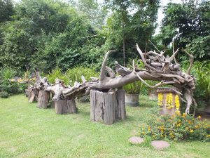 15137564_1022254761236293_2174153303627708948_o