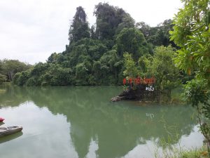 dscf5352