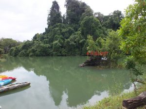 dscf5354